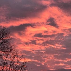 Meet your Posher, Ashlee